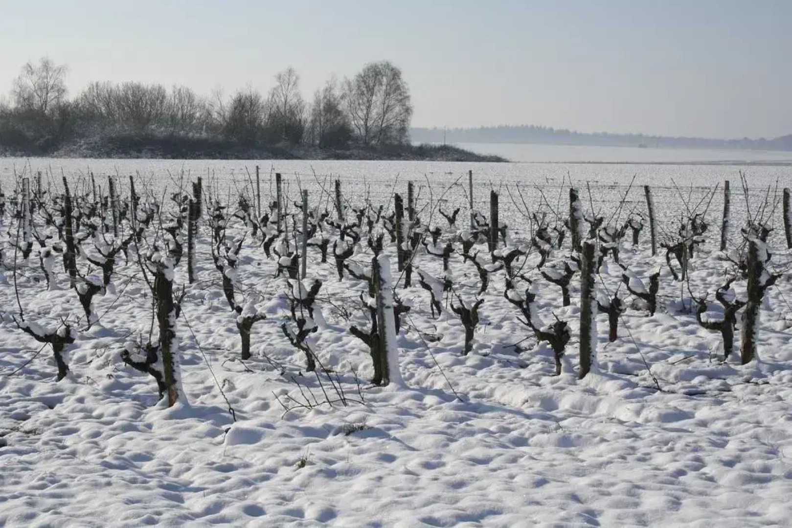 Chambres d'hï¿½tes Le Clos du Puits