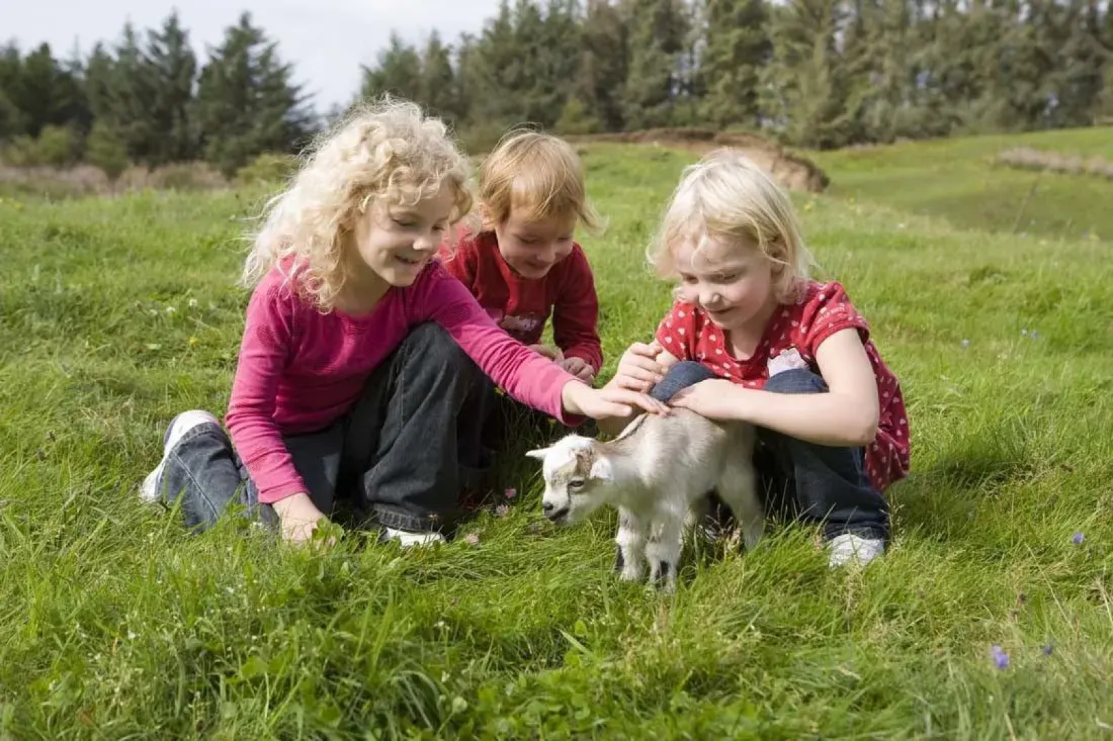 Skallerup Seaside Resort