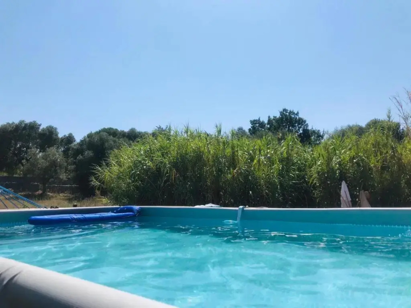 B&B Giovannarolla Green House