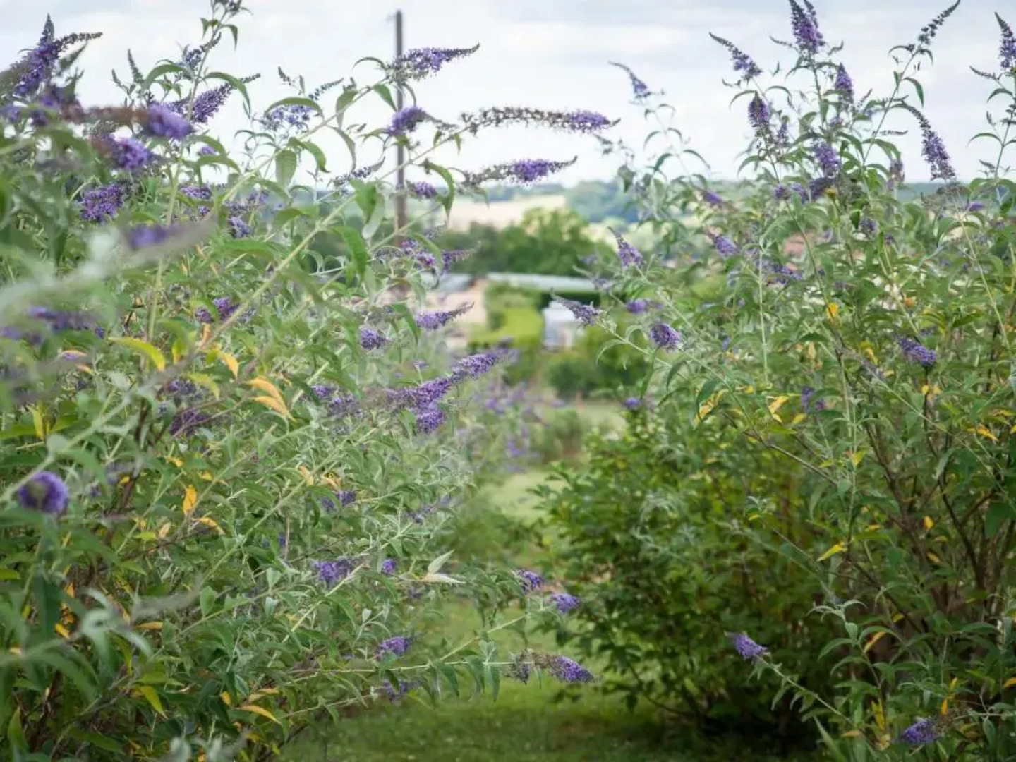 Gîte Fossemagne, 3 pièces, 4 personnes - FR-1-616-262