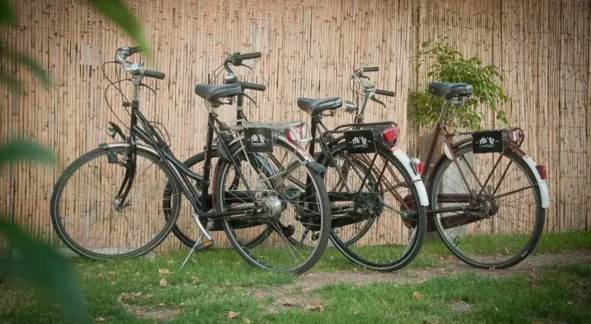 Ah'Lo Carmelo Hostel Boutique