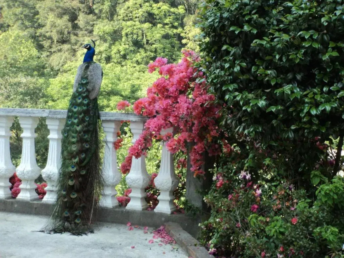 Otro Rollo en Jilotepec