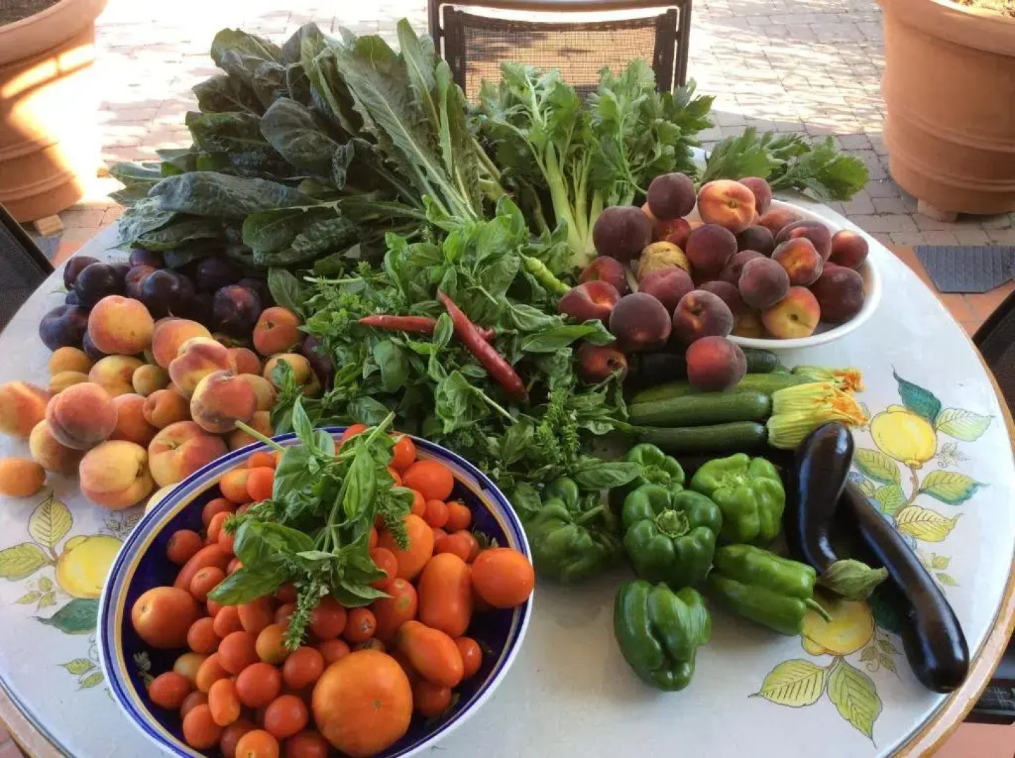 Campo dei Lupi Agriturismo