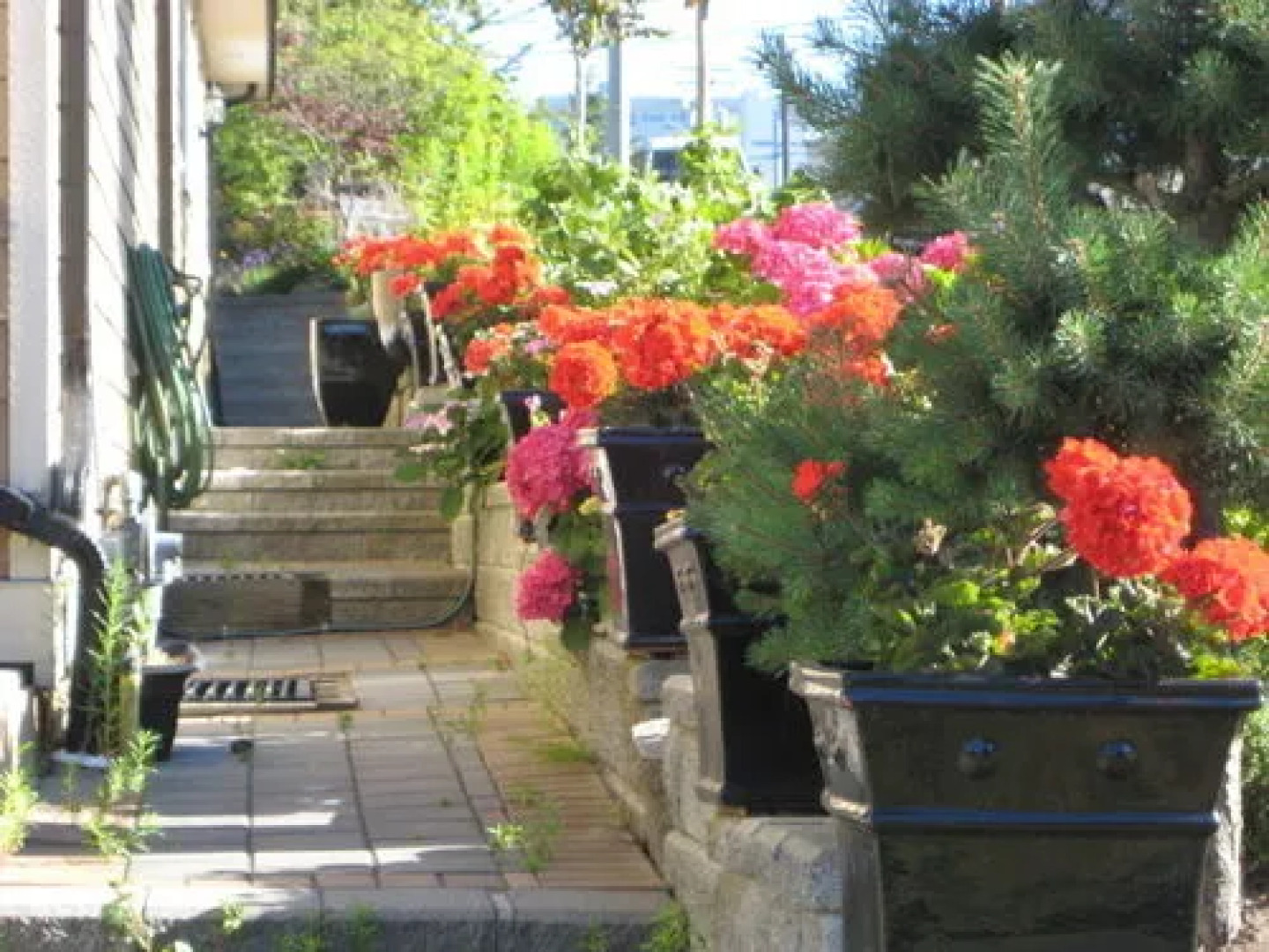 White Rock Beach Guest House