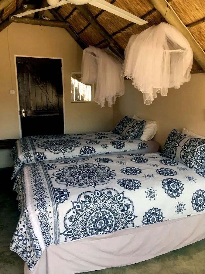 Wild Dogs Safari Lodge