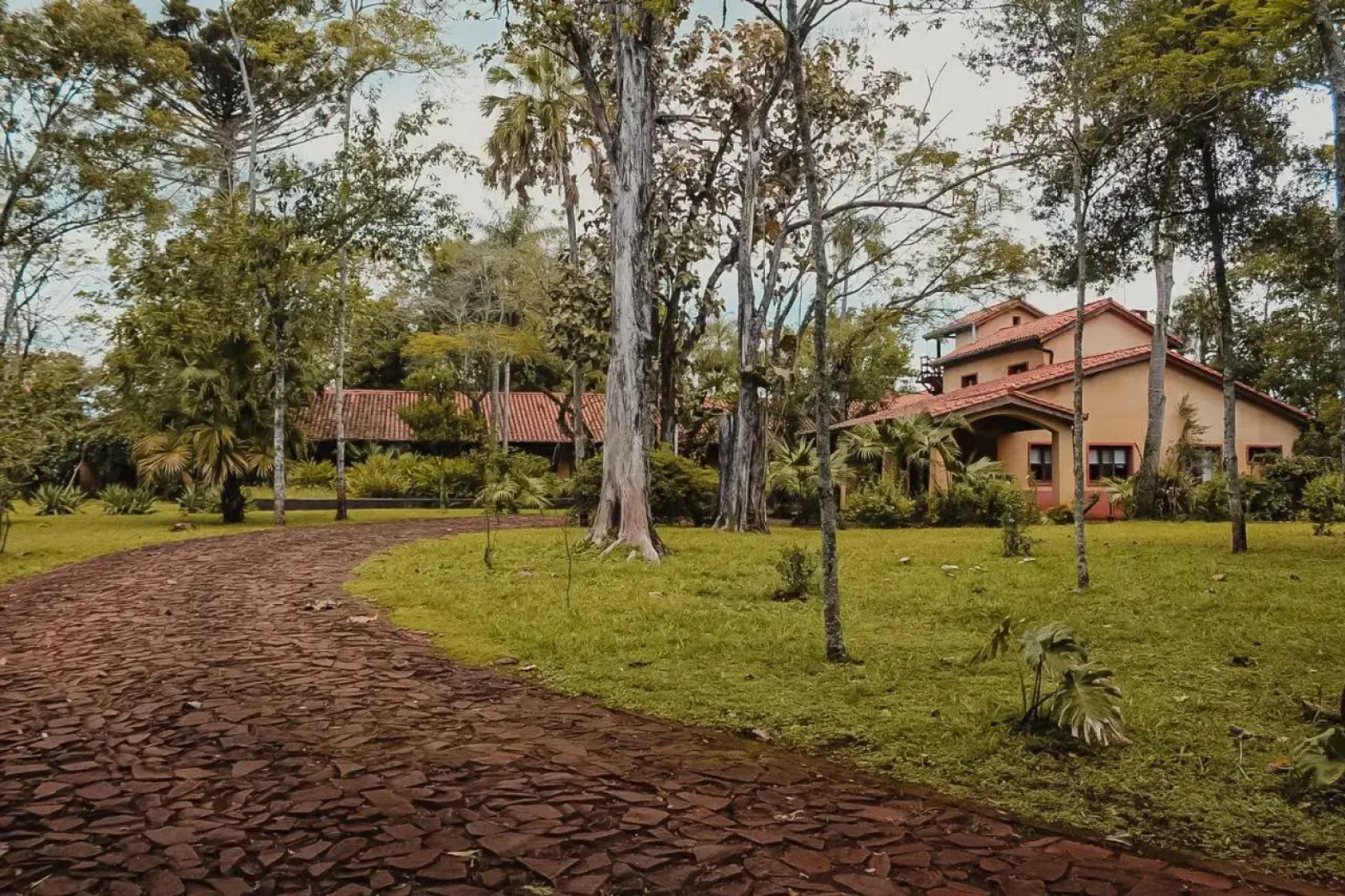 Reserva Natural Iguazú - Posada Puerto Bemberg