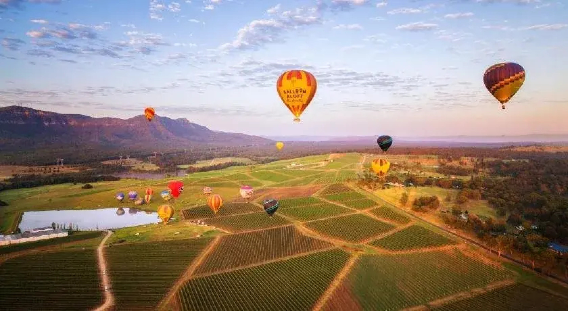 Coal d' Vine Cottage - Cessnock NSW
