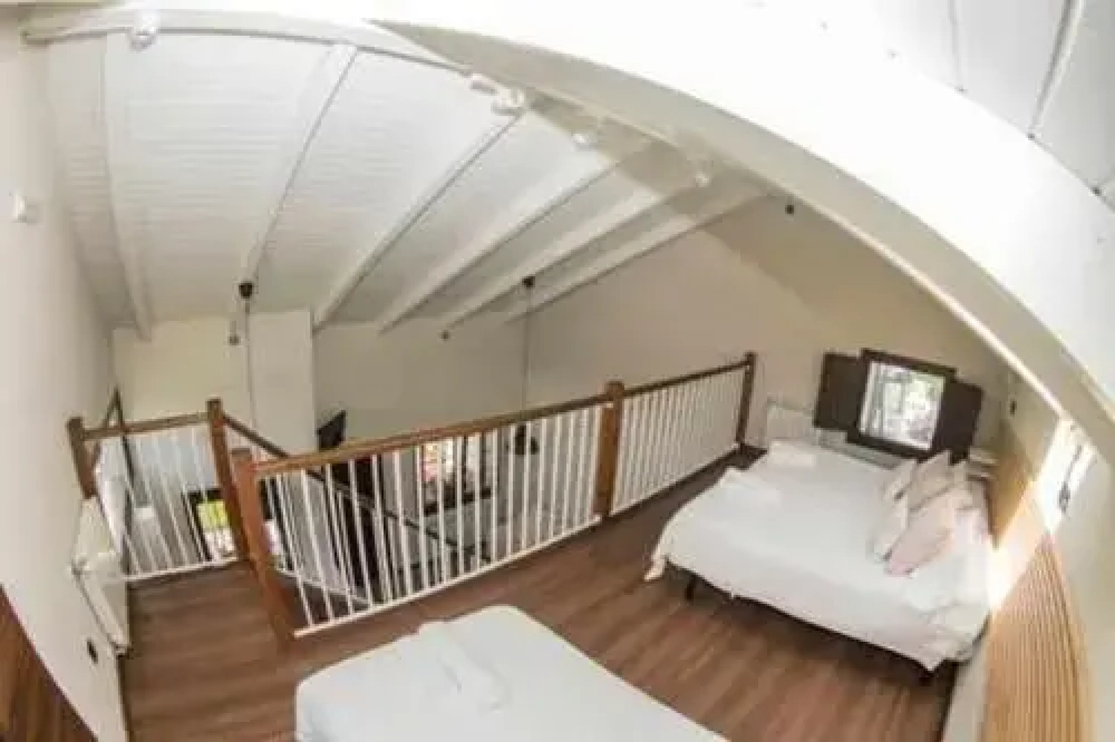 La campa de FaedoTere