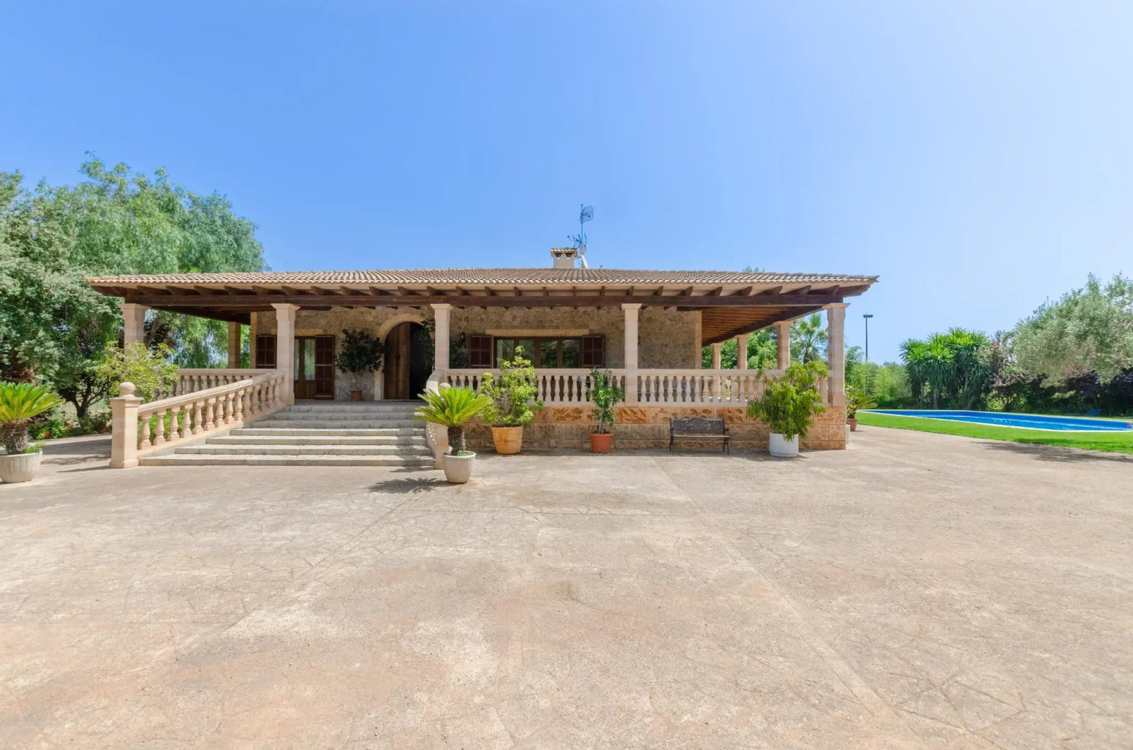 Can Berguins in Buger