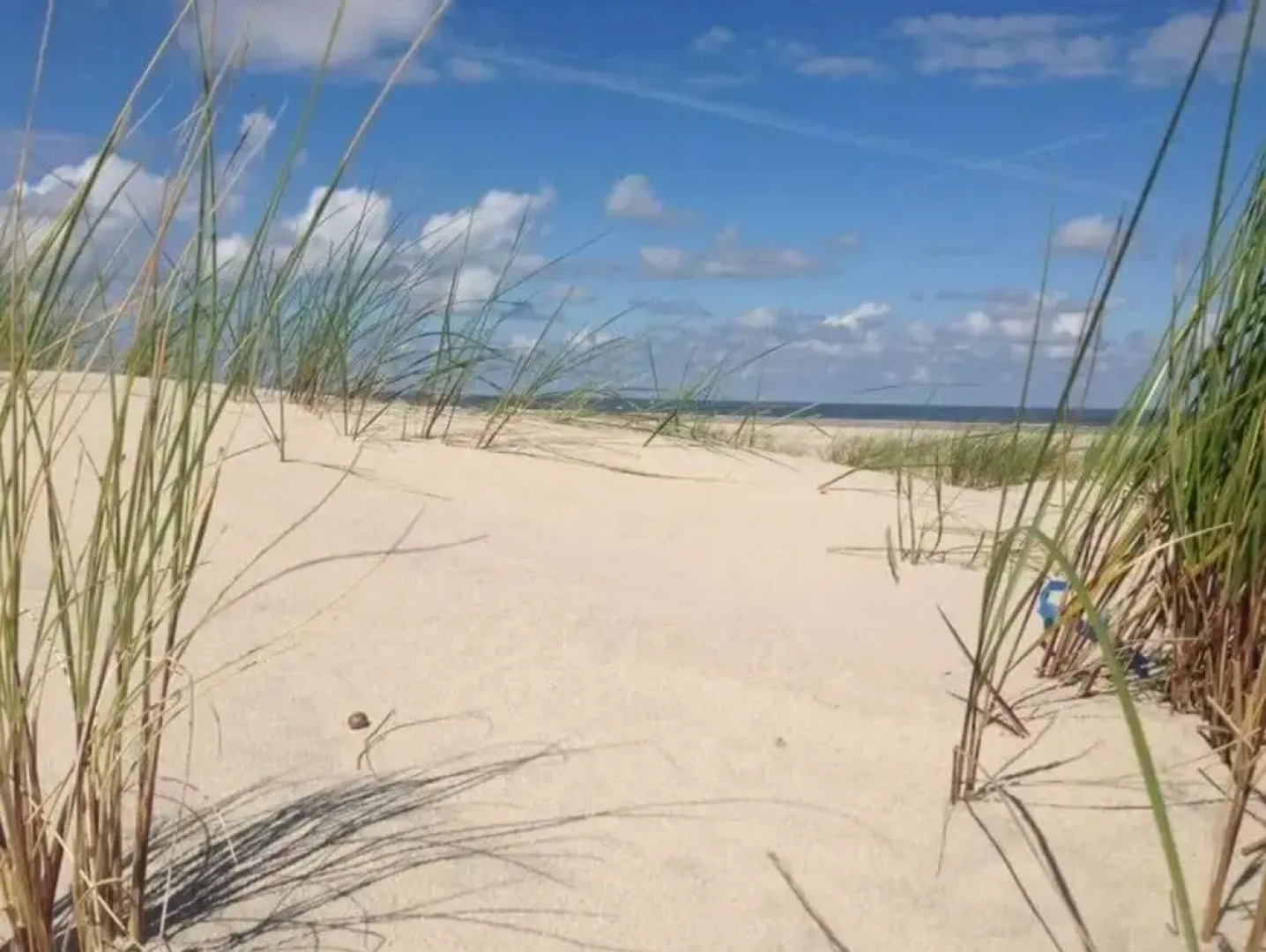 The Blue House Modern Retreat