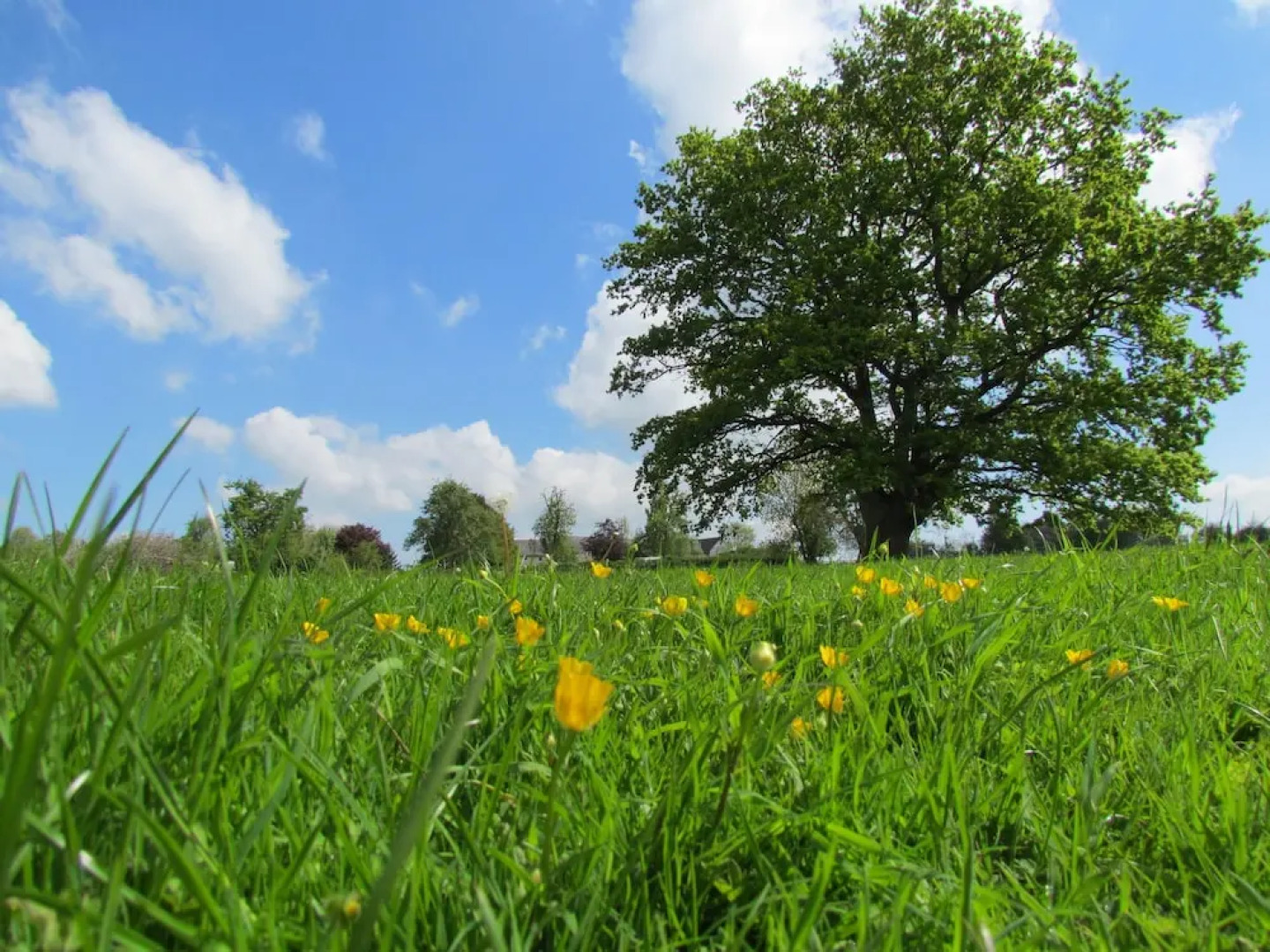 Lowe Farm - Bed & Breakfast Leominster