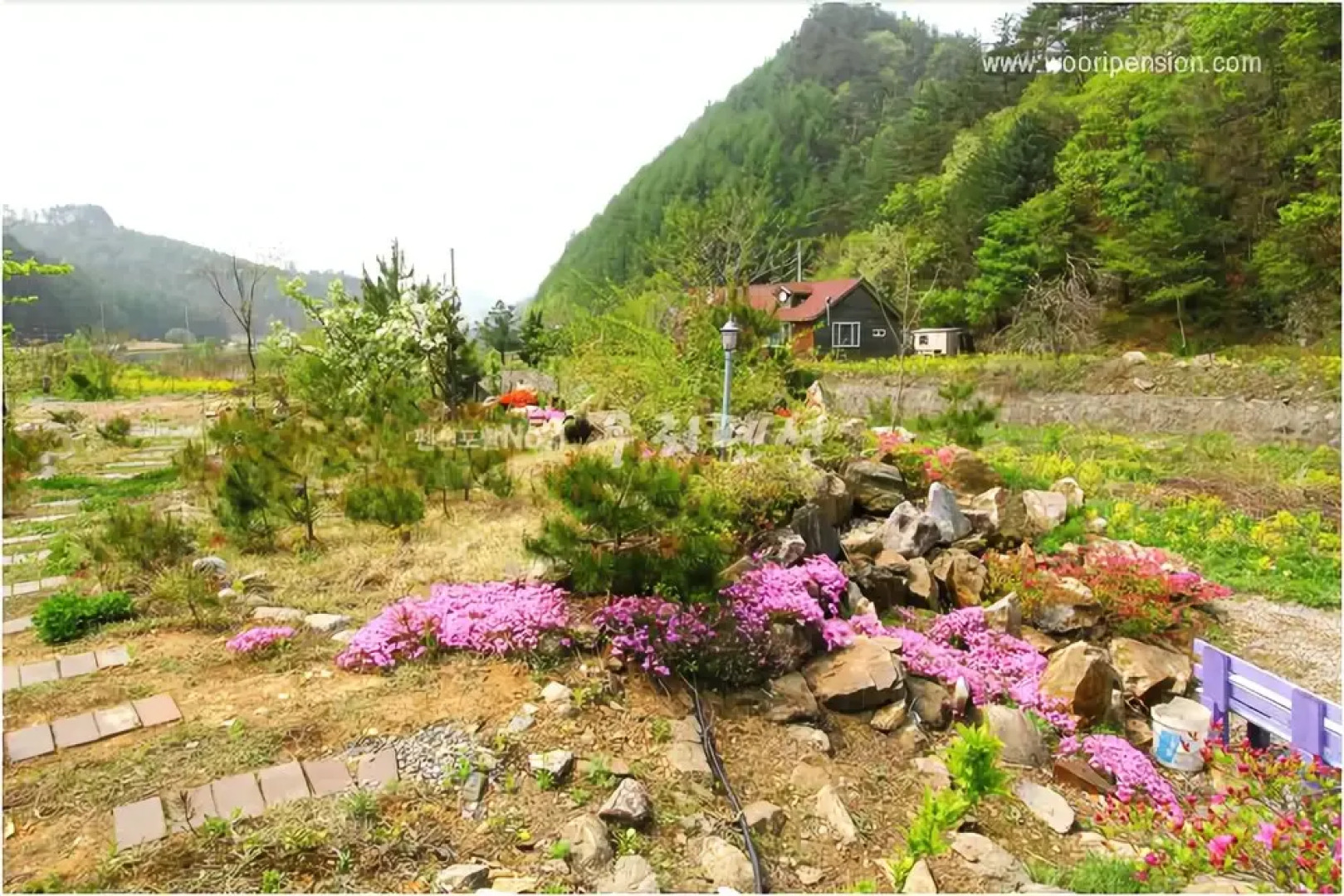 Jeongseon Click Pension