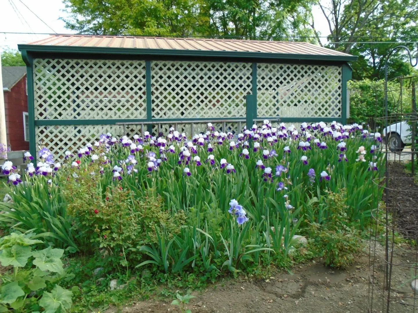 Cobbler Room & Cottage B&B & Massage