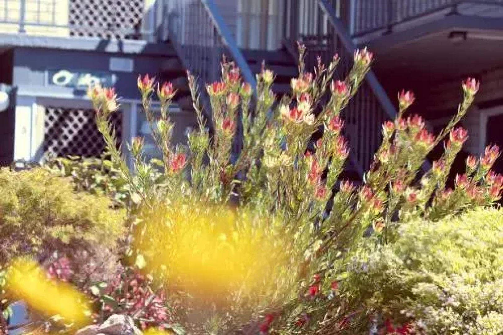 The Sands Holiday Apartments