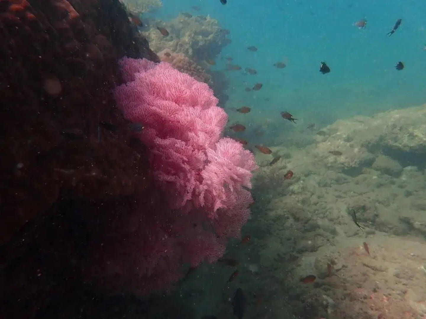 The Moken Eco Village