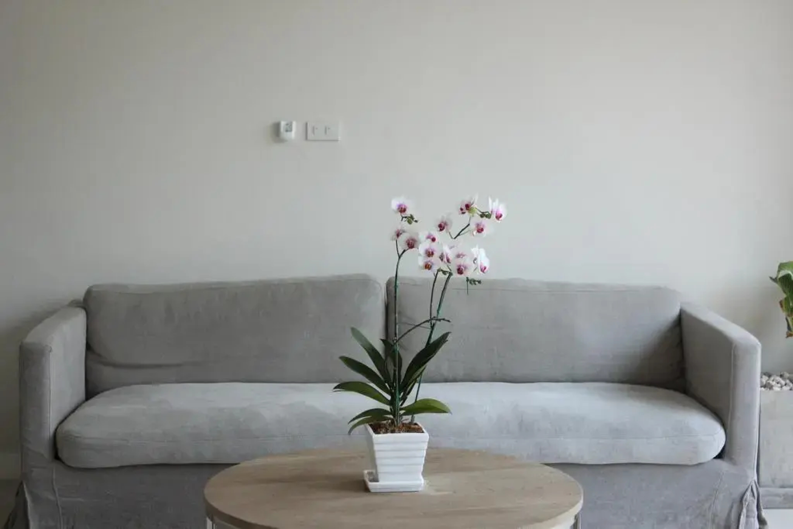 Harmony Resort Hotel