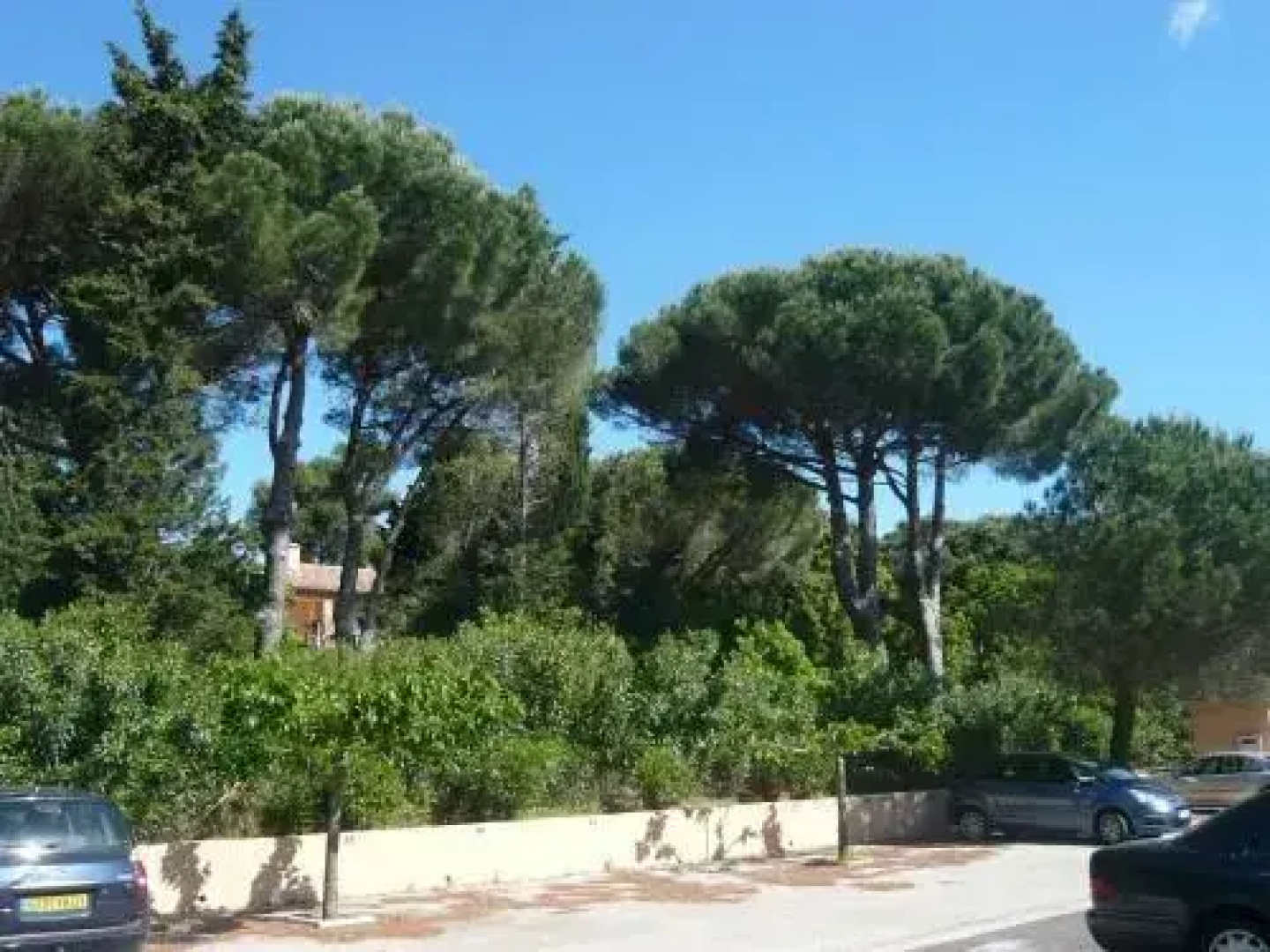 Apartment Les Vignes