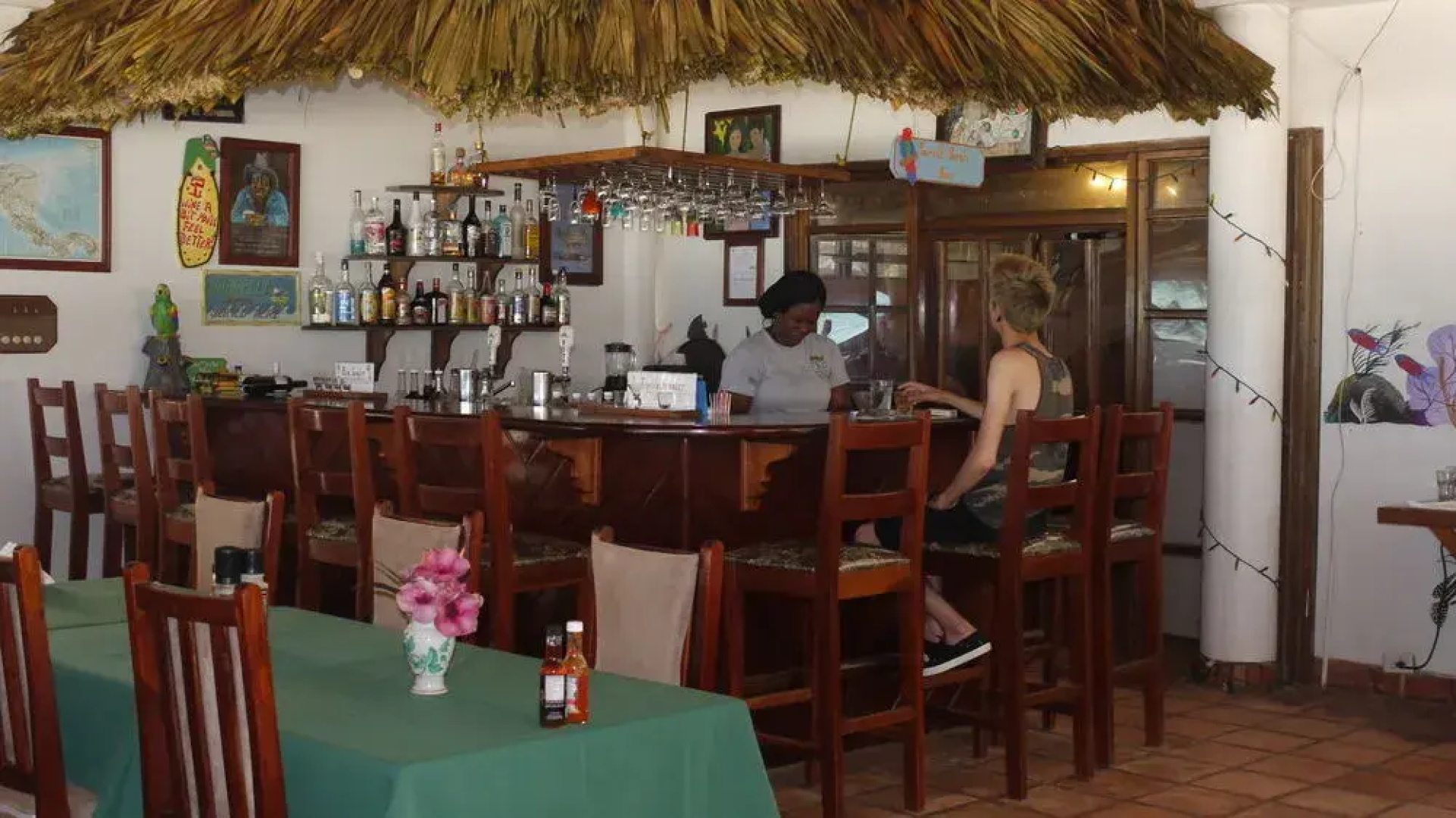 Green Parrot Beach Houses and Resort