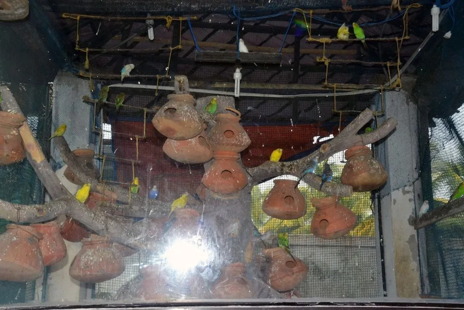 Hotel Dolphin - Bhakkhali