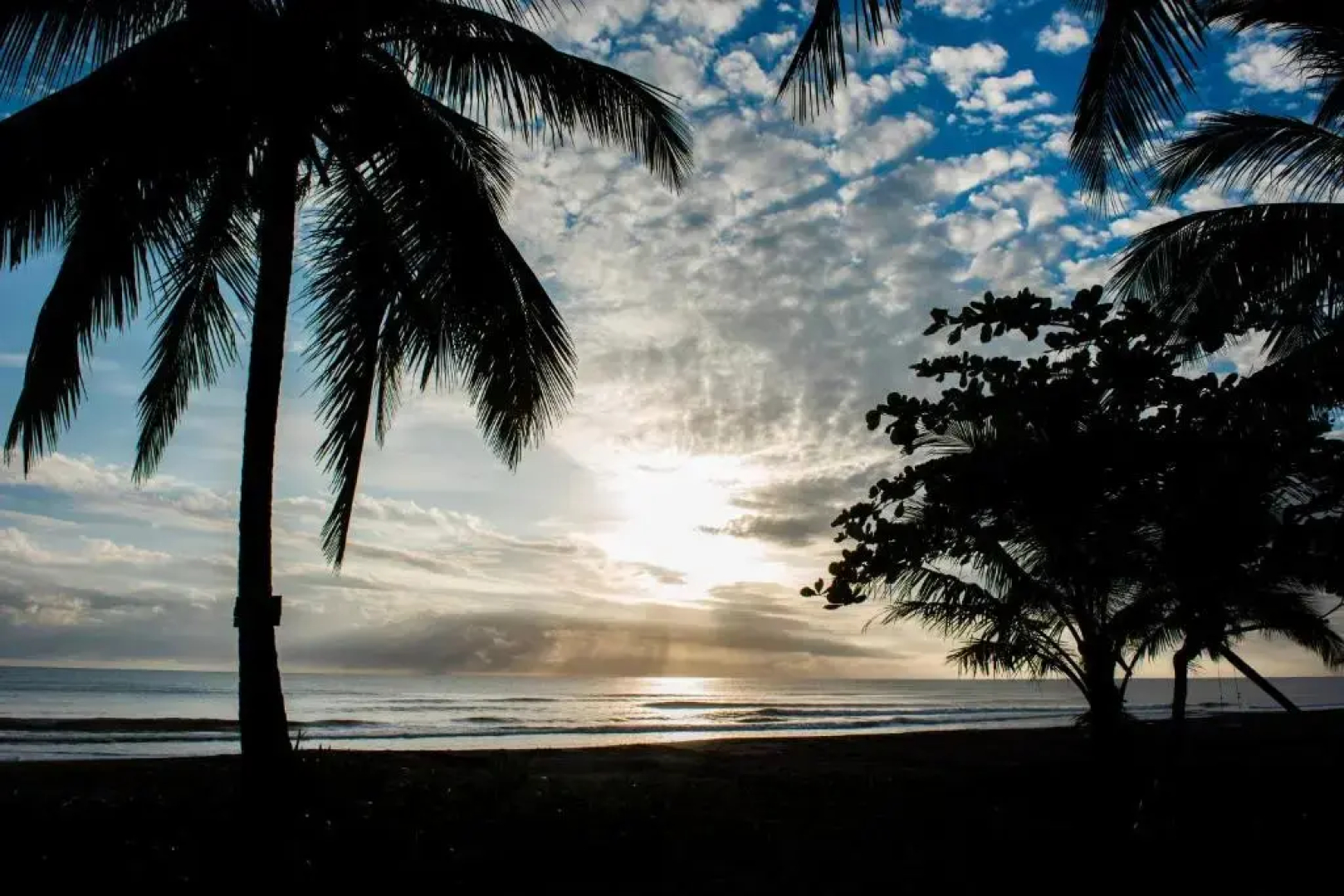 Hotel Tortuguero Beachfront