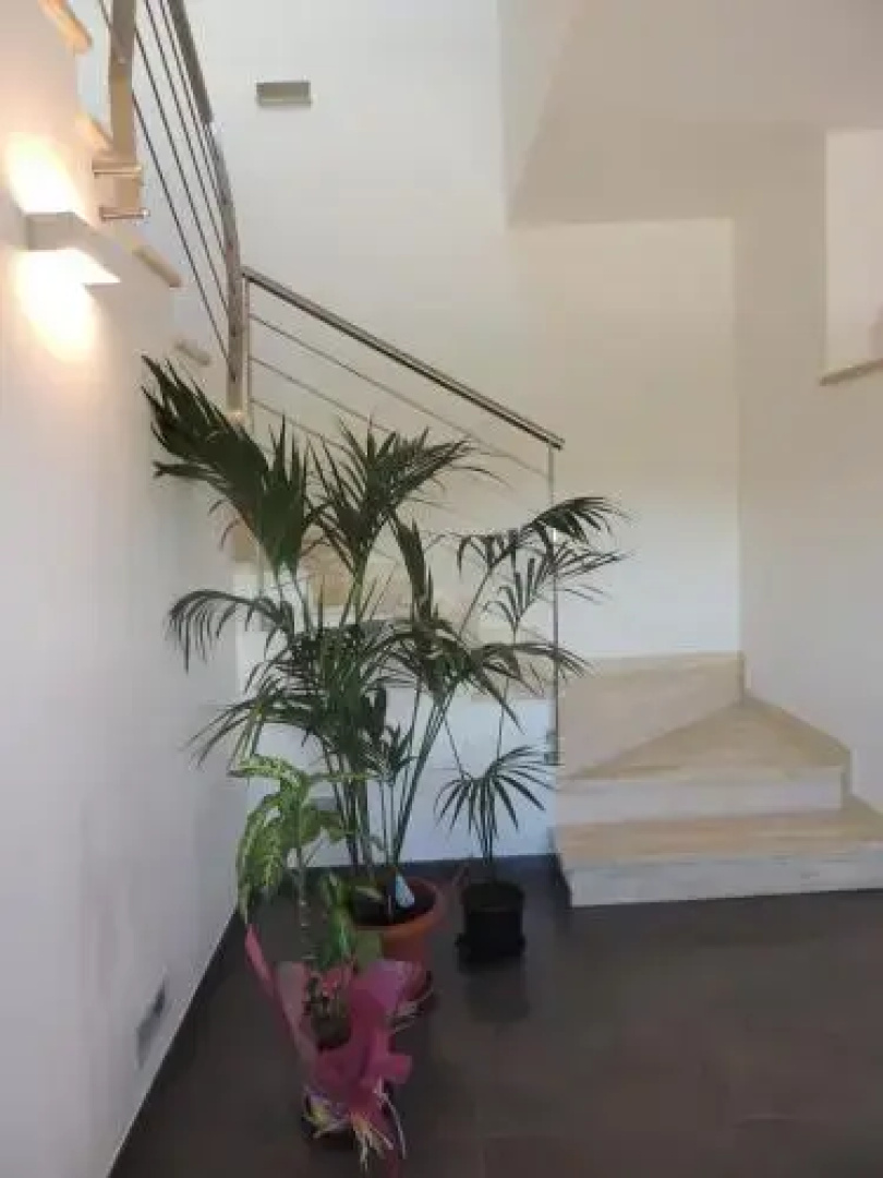 Ross House
