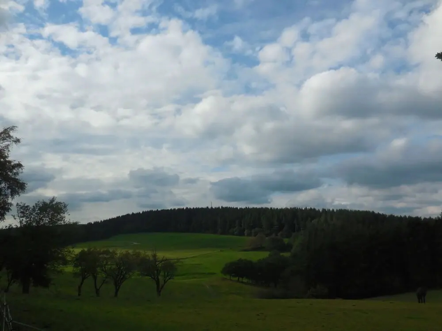 Modern Holiday Home in Hellenthal With Garden