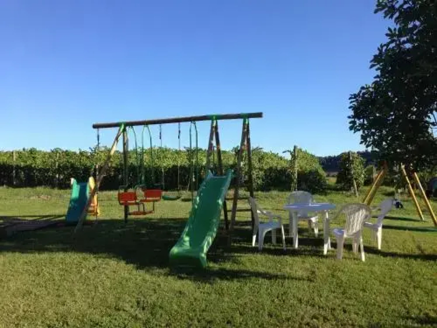 Az. Agr. Olivetta 200S