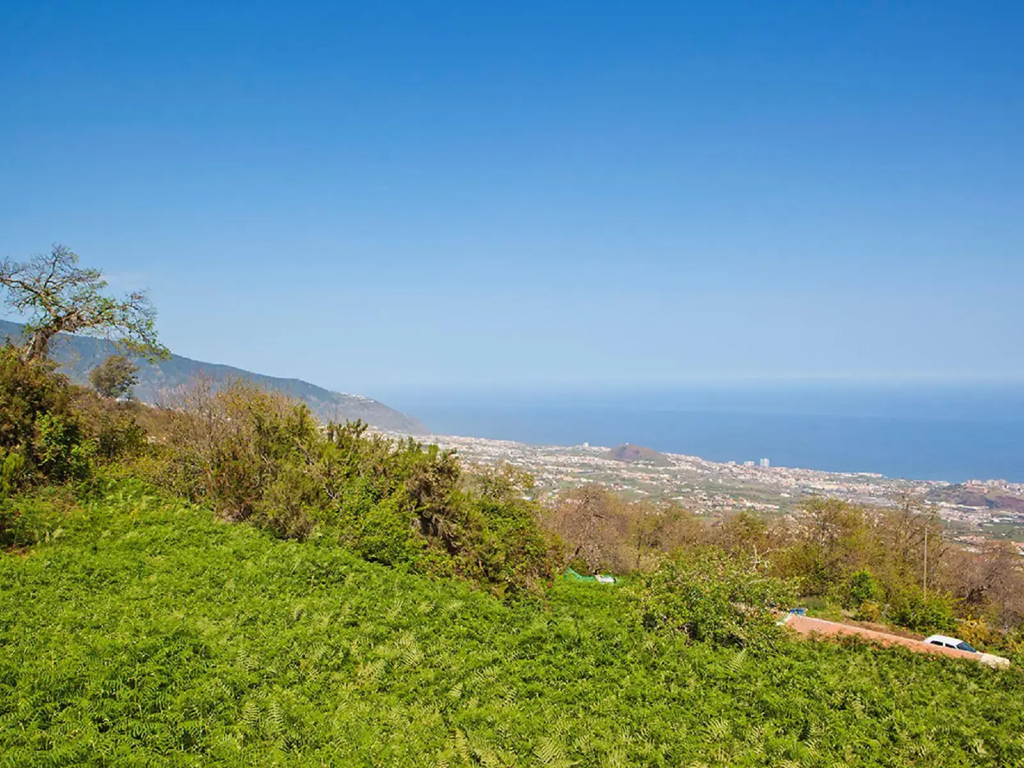 Holiday Home Los Nardos