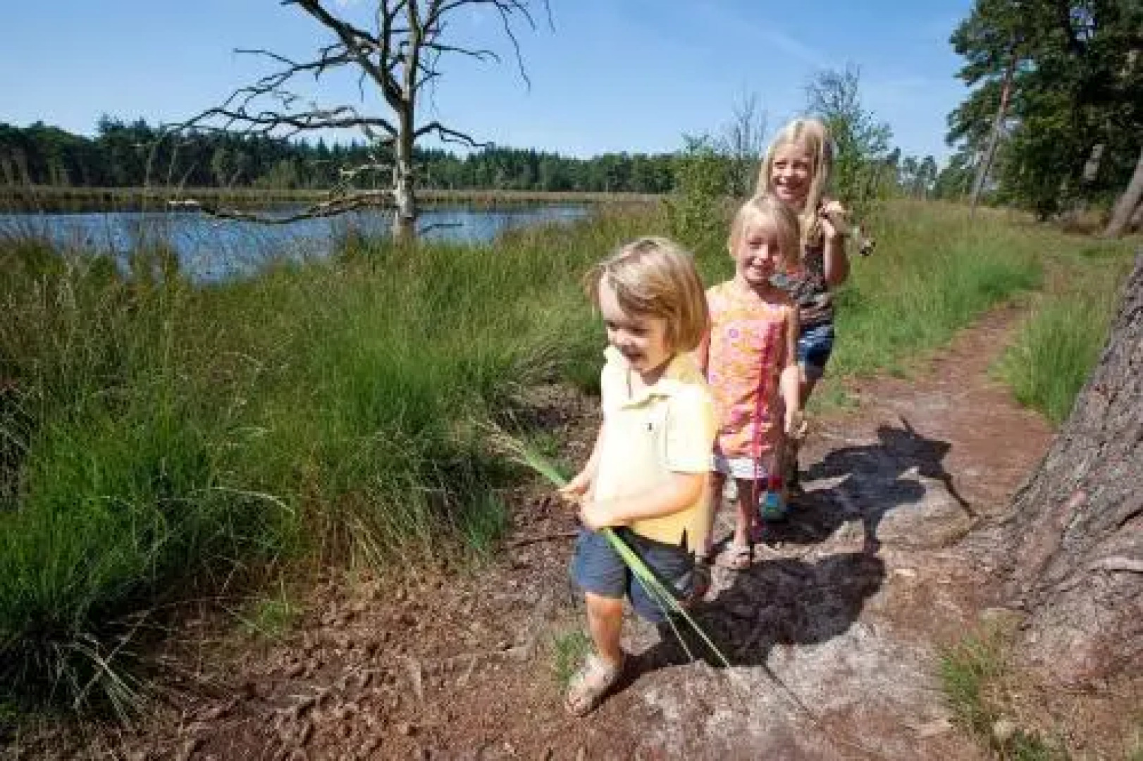 Roompot Bospark Lunsbergen