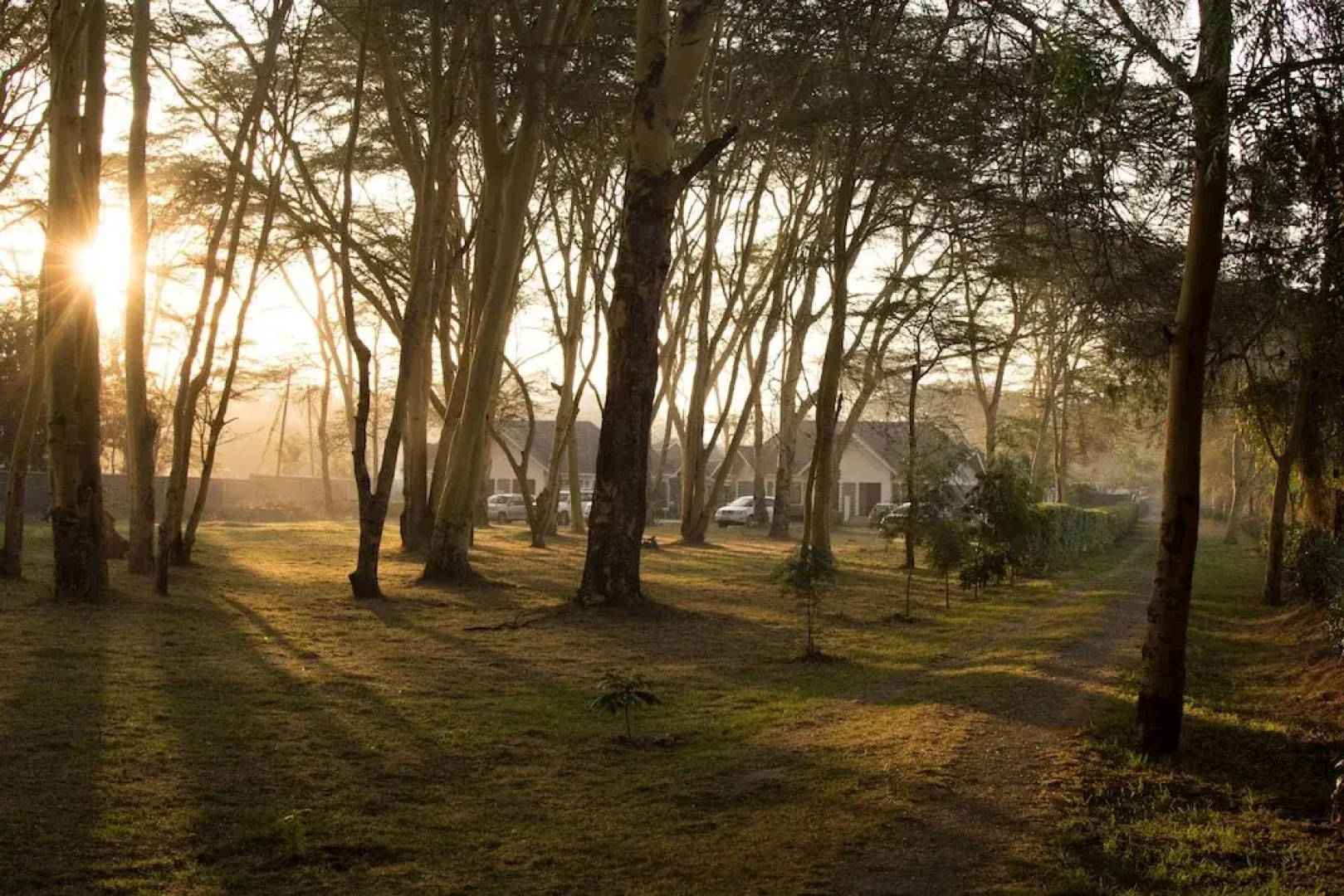 Burchs Resort Naivasha