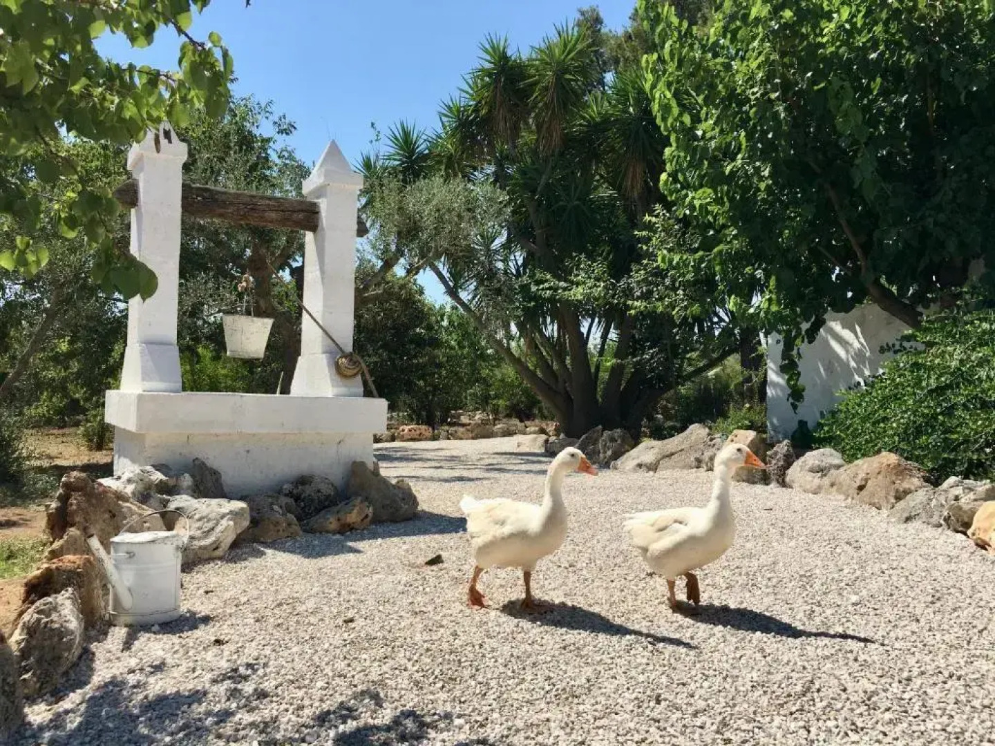 Masseria Principe di Puglia