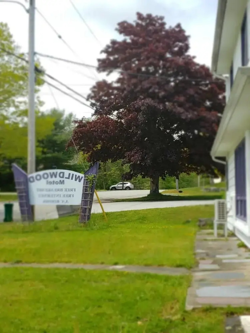 Wildwood Motel