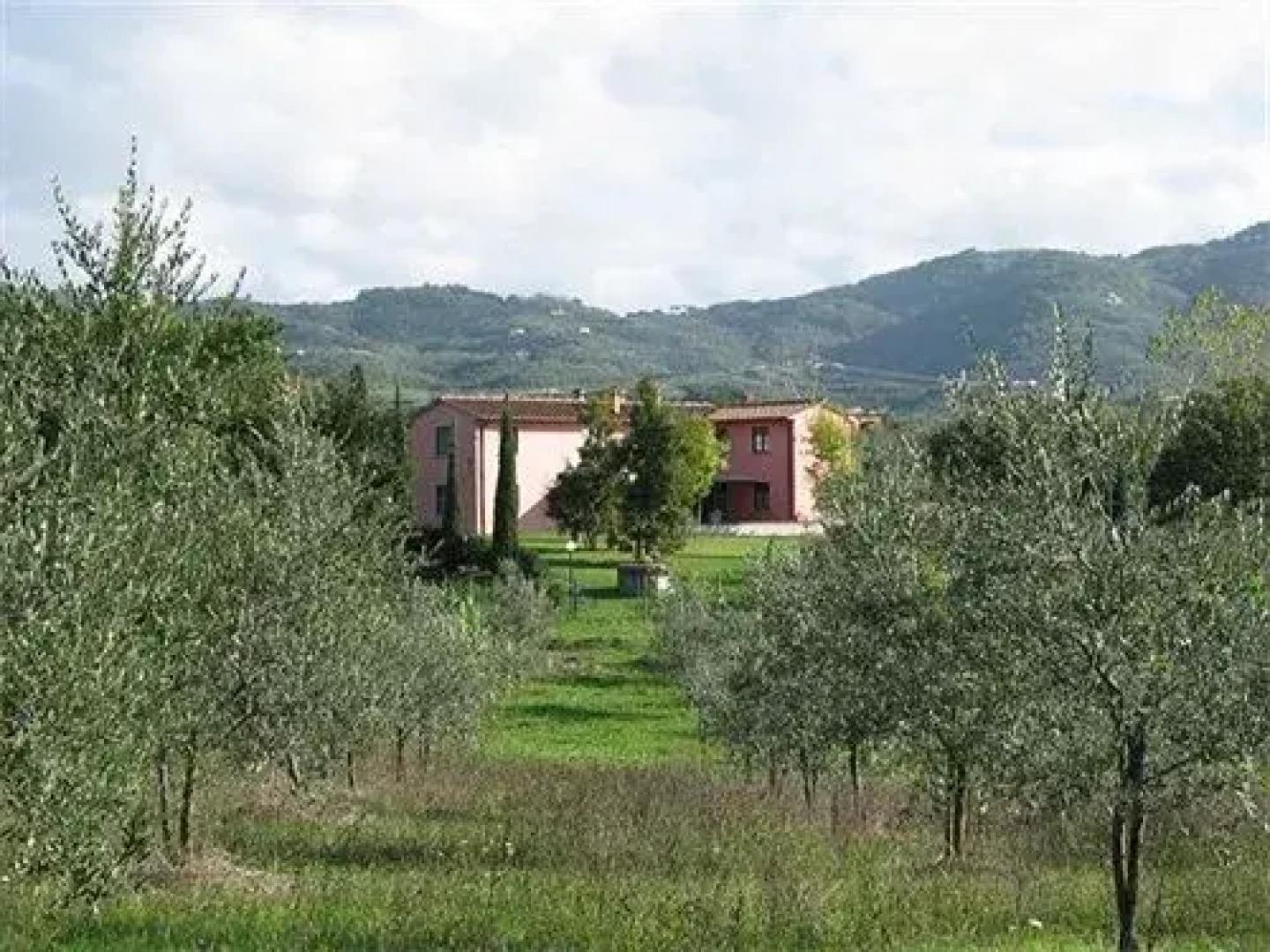 Tenuta Il Vallone