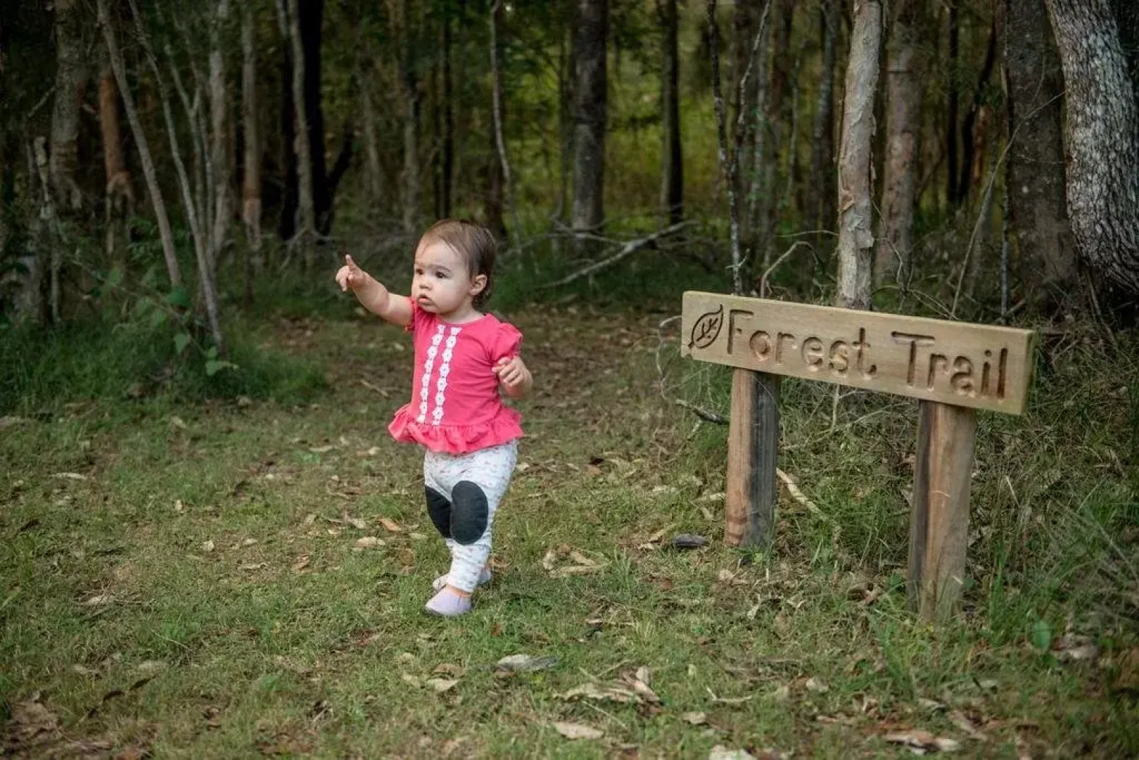 Telegraph Retreat Cottages