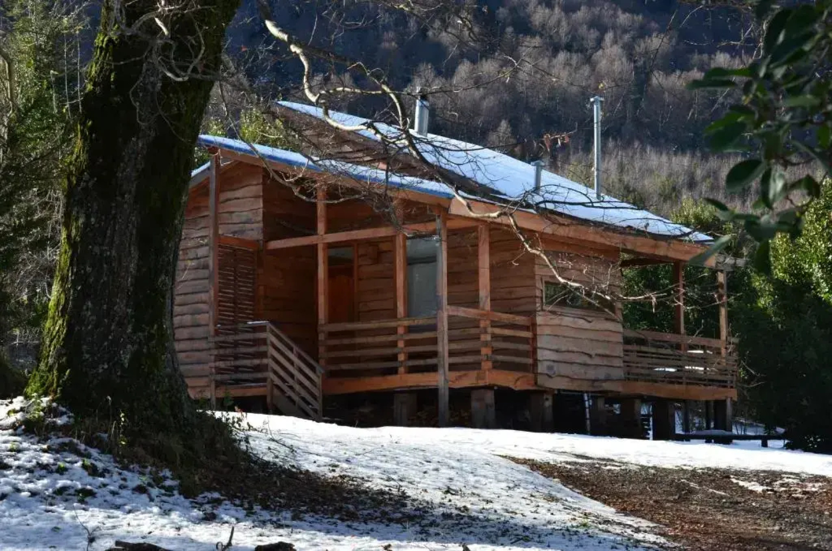Cabañas Newenpüllü