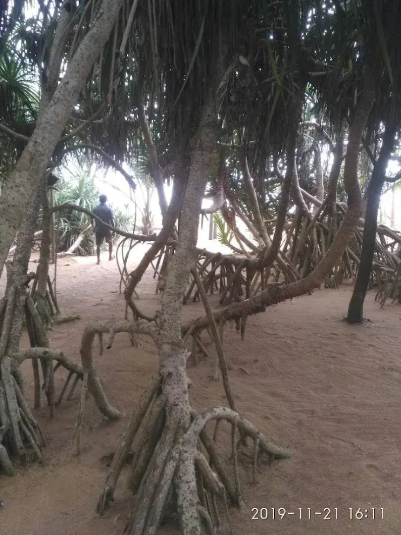 Ravana Beach Cabanas