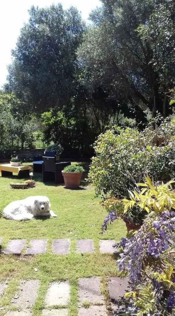 B&B Su Narboni Mannu E4247