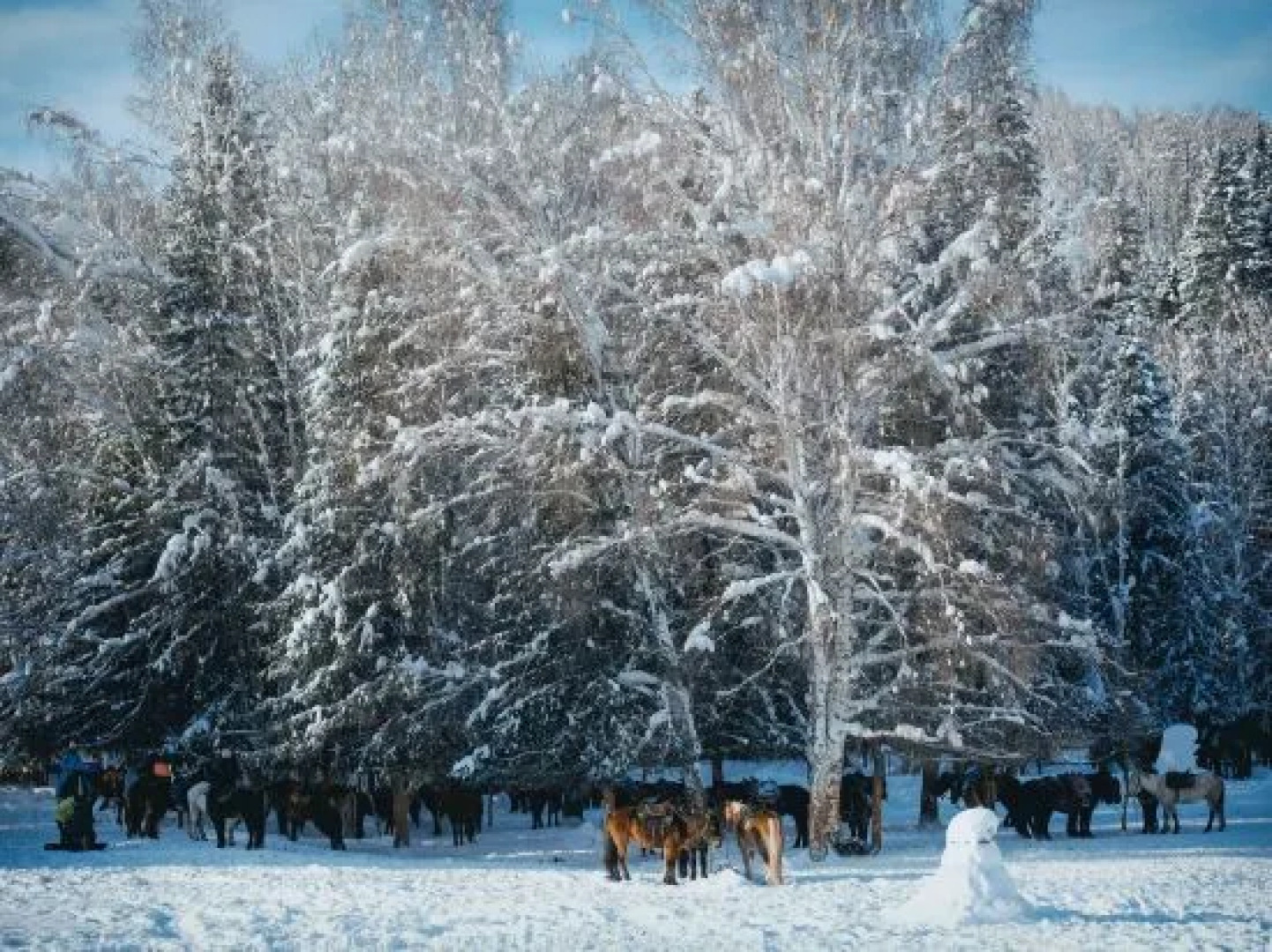 naked Home · Hemu Altay