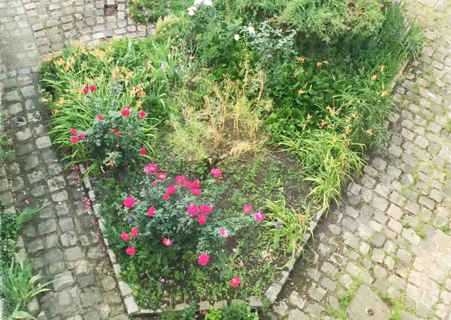 L'académie de Clémence, Guest House Paris-Roland-Garros