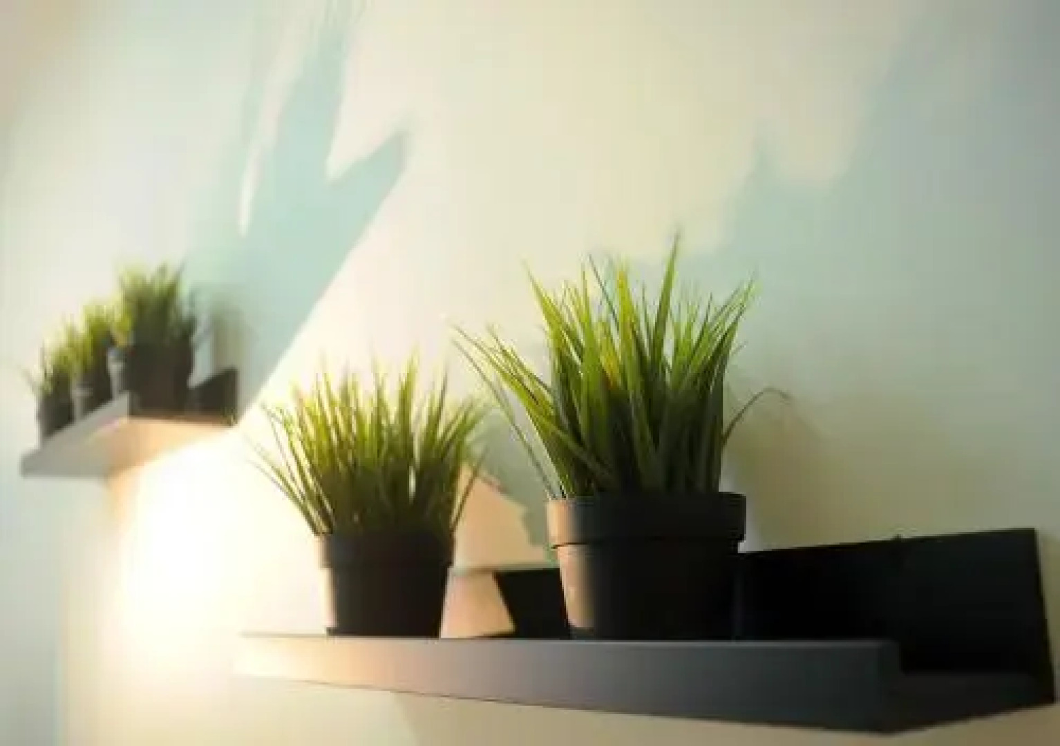 Seaview Holiday Apartment 3