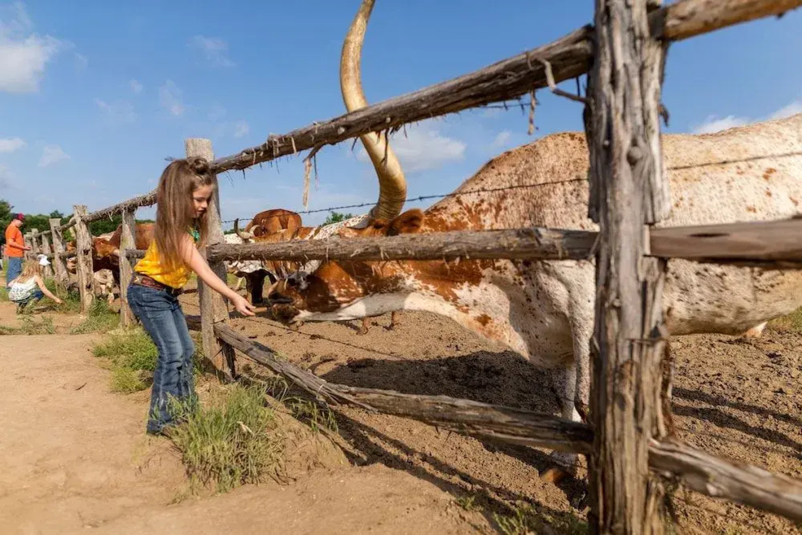 Wildcatter Ranch Resort & Spa