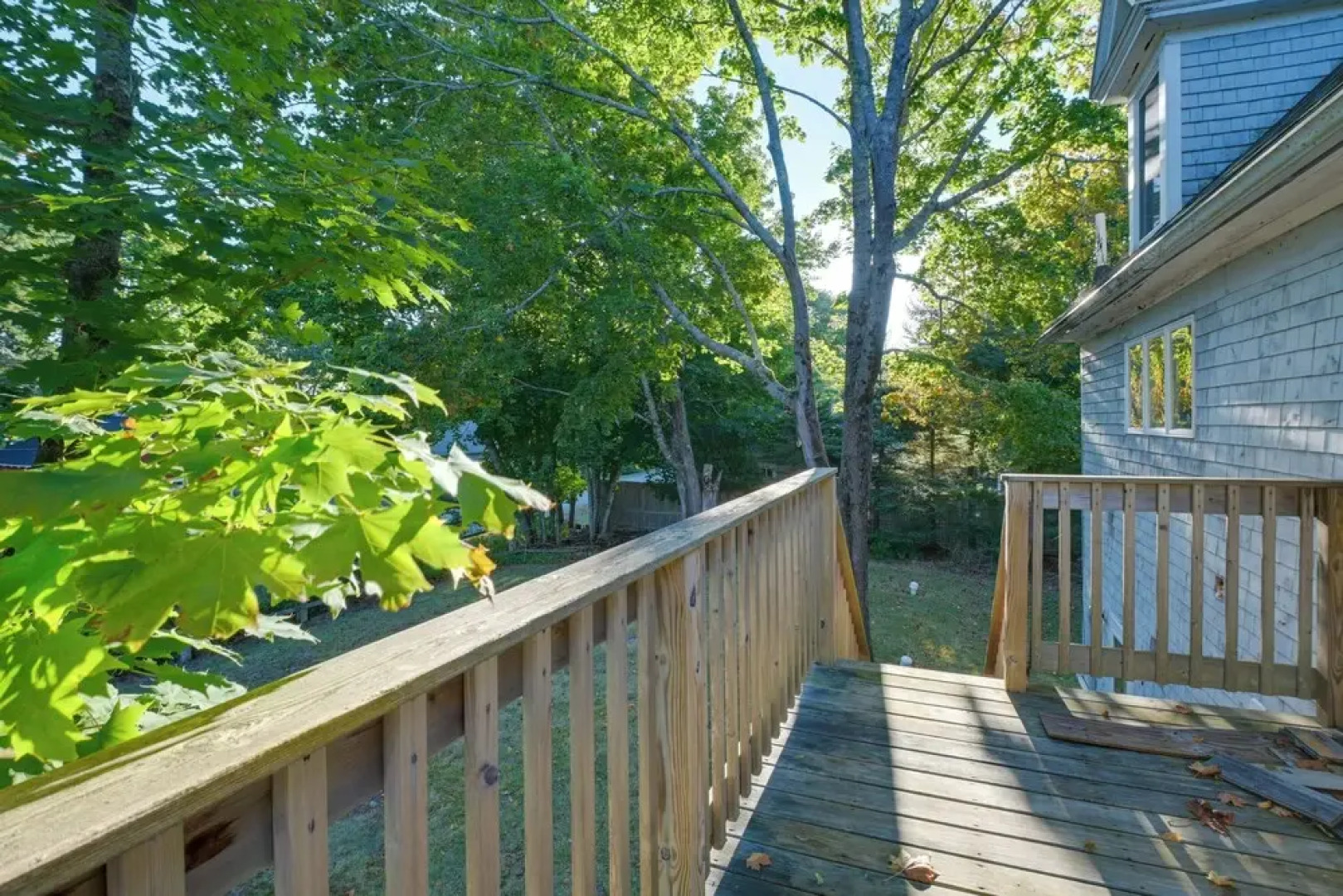 Walk to Sorrento Town Dock: Pet-friendly Apartment