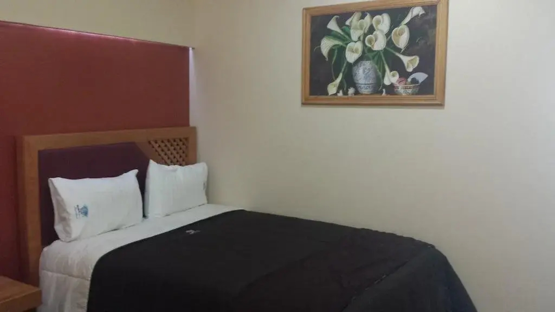 Hotel Global Express Tehuacan