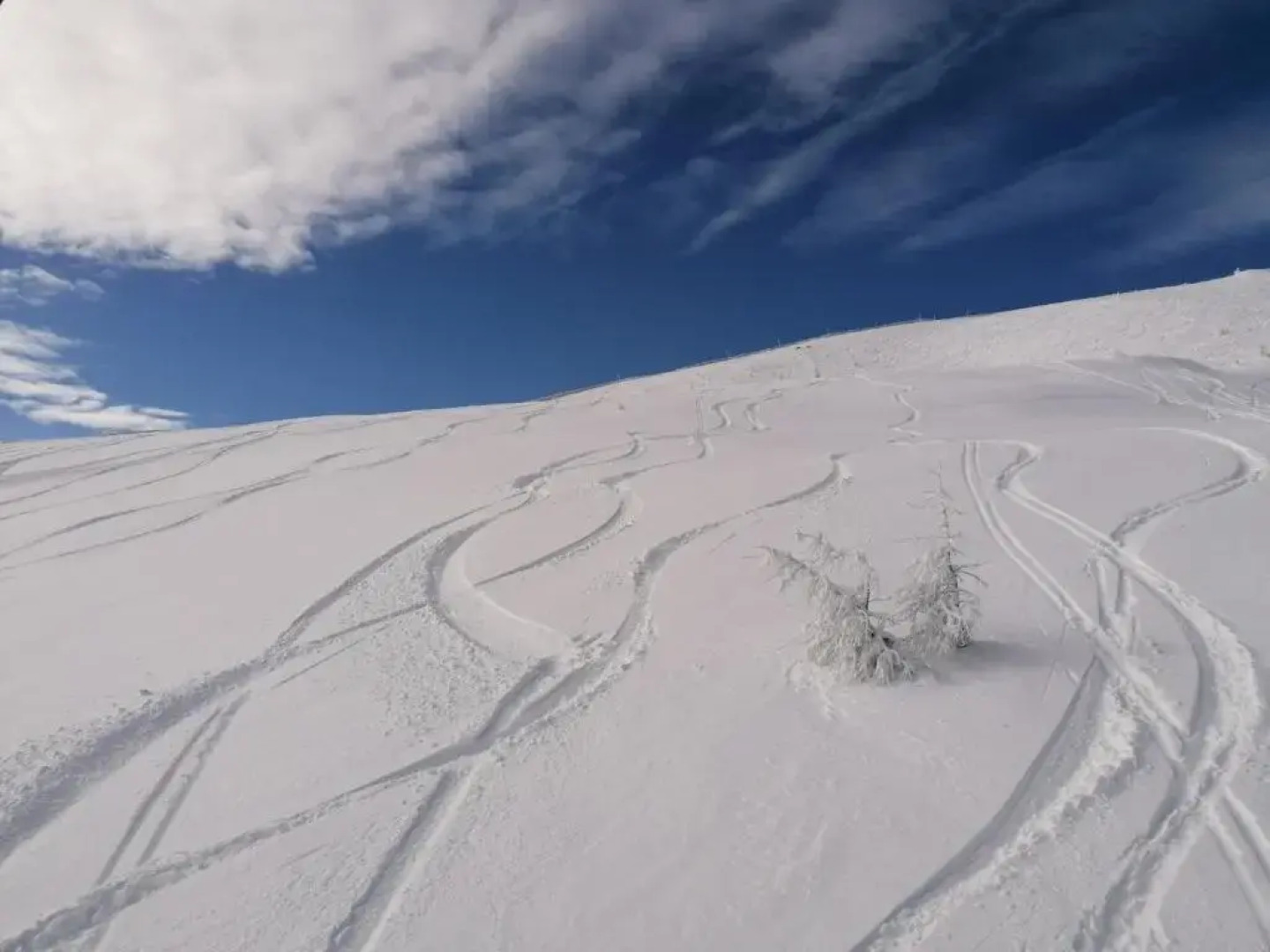 Ferienwohnung Holzer