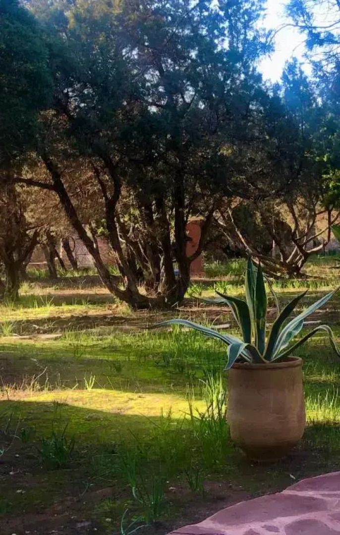 Atlantis 12 Maison d’hôtes et d’art