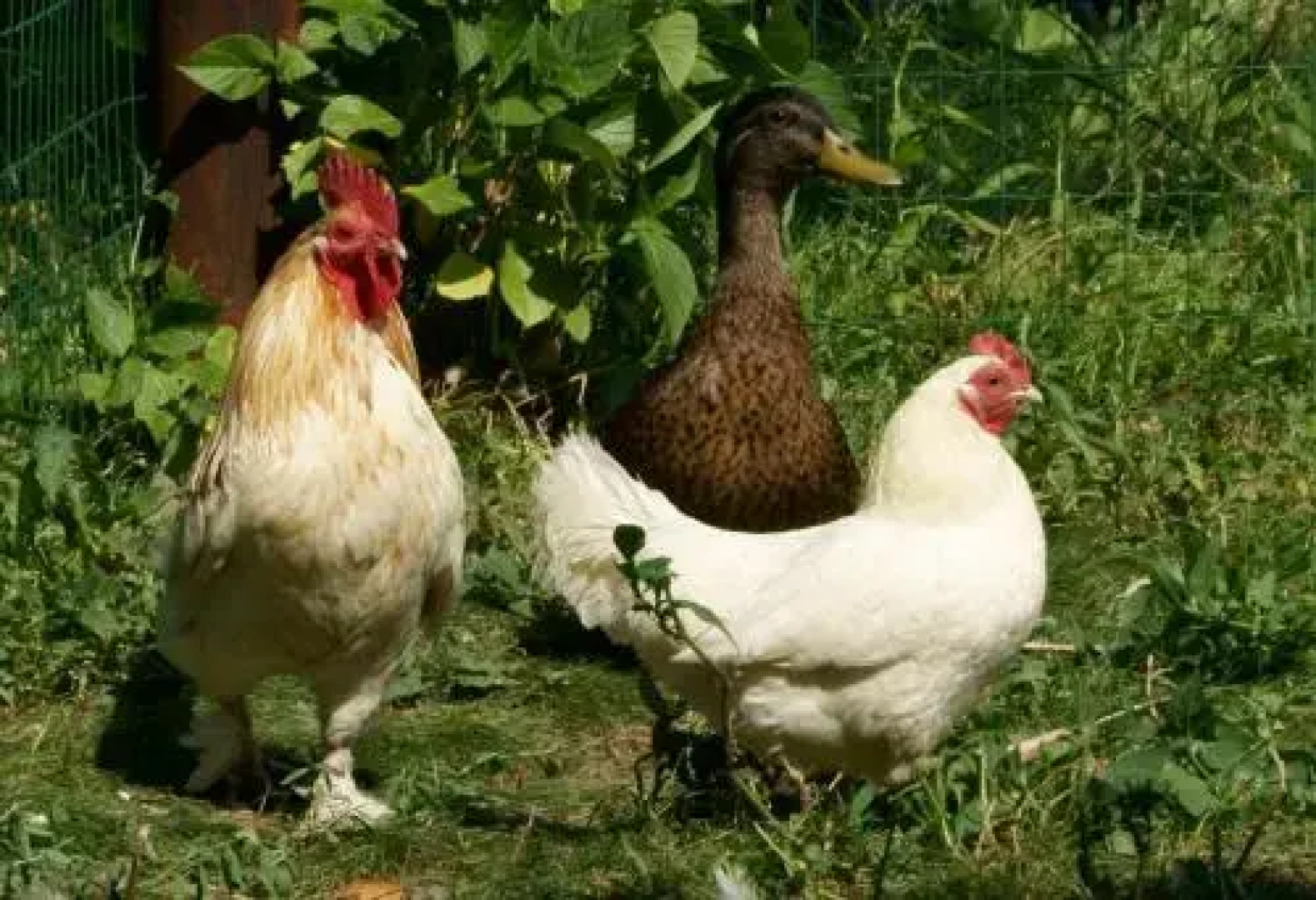 Gîtes du Vieux Presbytère