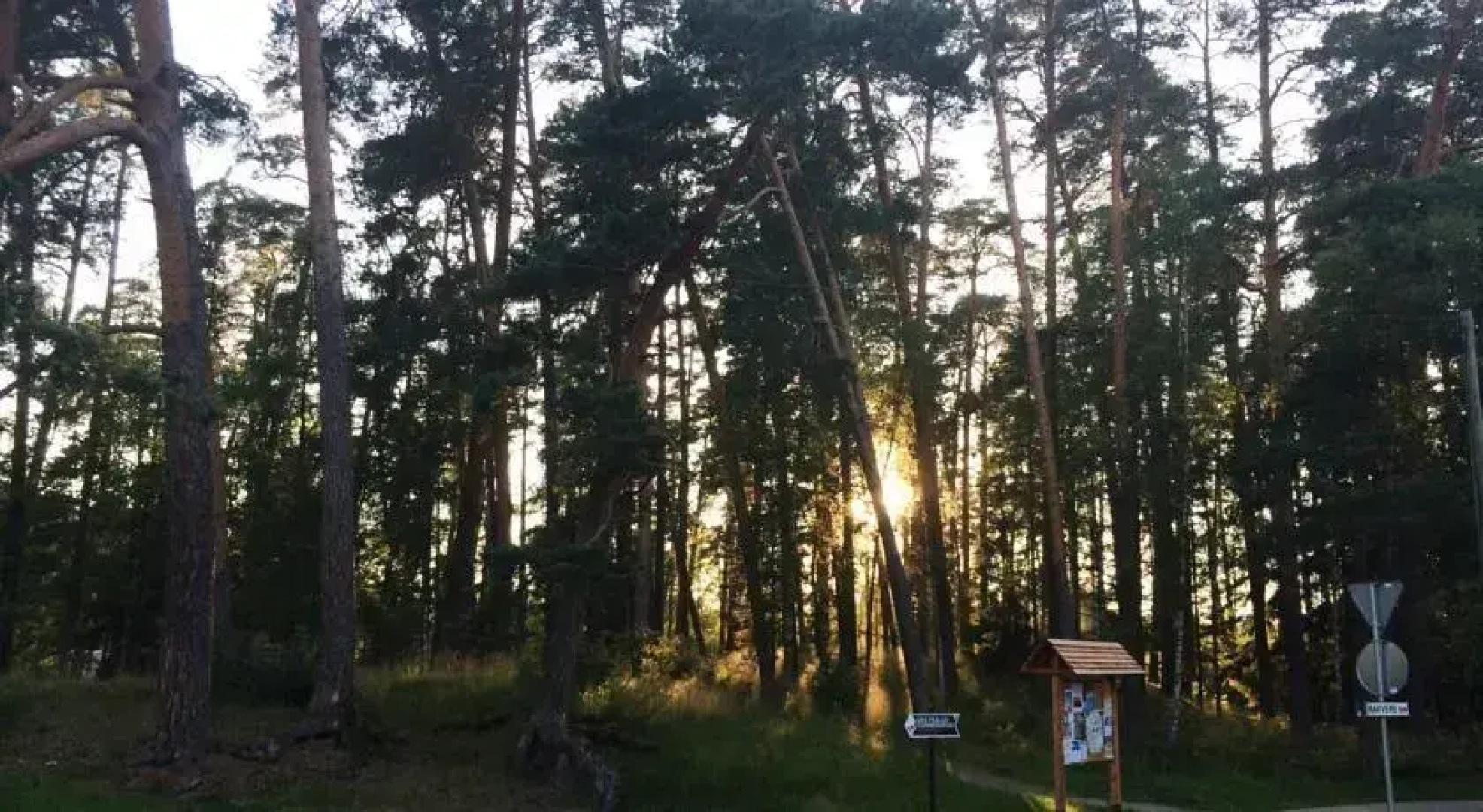 Võsu Pagariäri