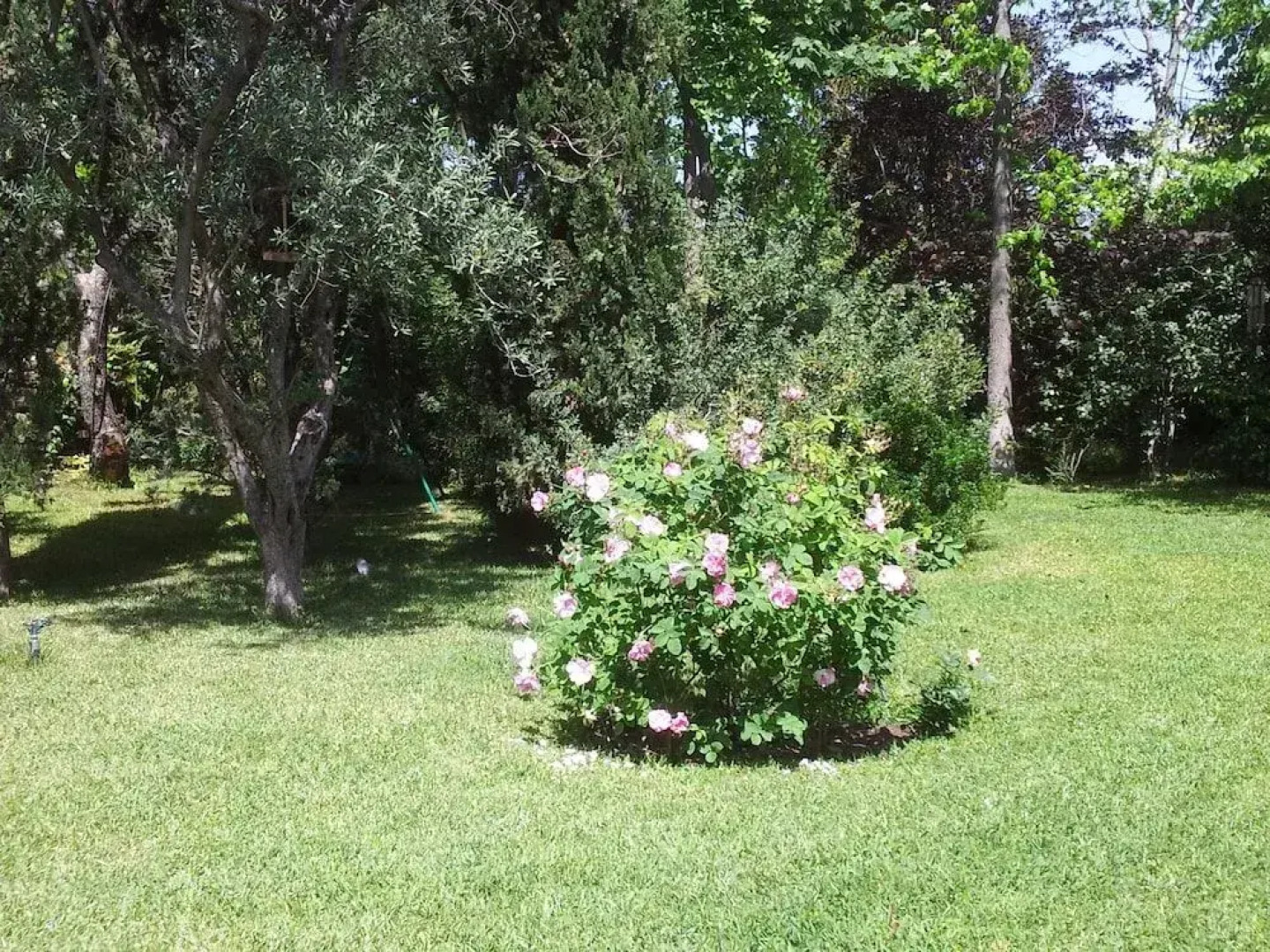 La Casa Di Francesca