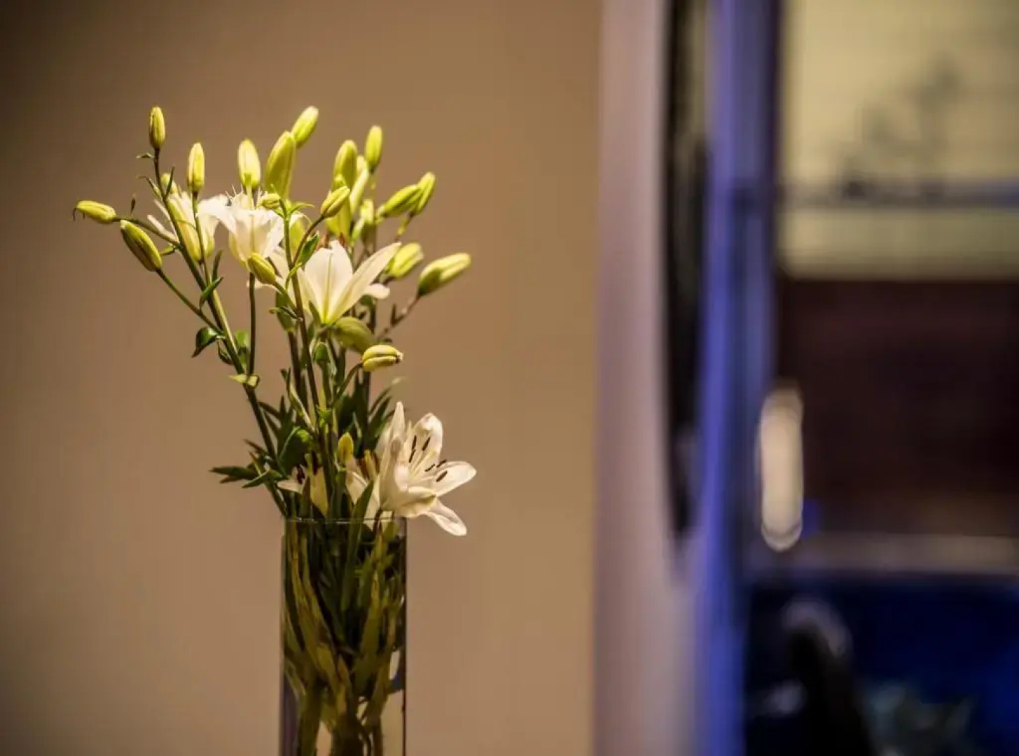 Wild Avenue Resort & Spa