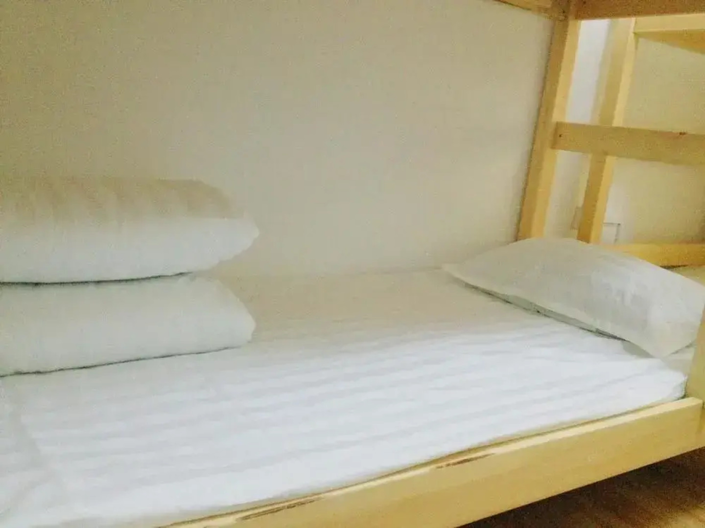 798 International Youth Hostel